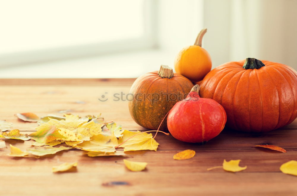 Similar – Image, Stock Photo Pumpkin season Food