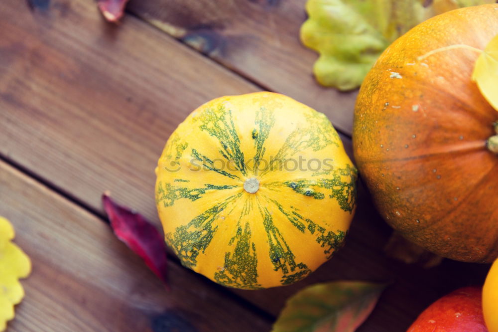 Similar – Autumn decoration with pumpkin, rose hip and coloured foliage