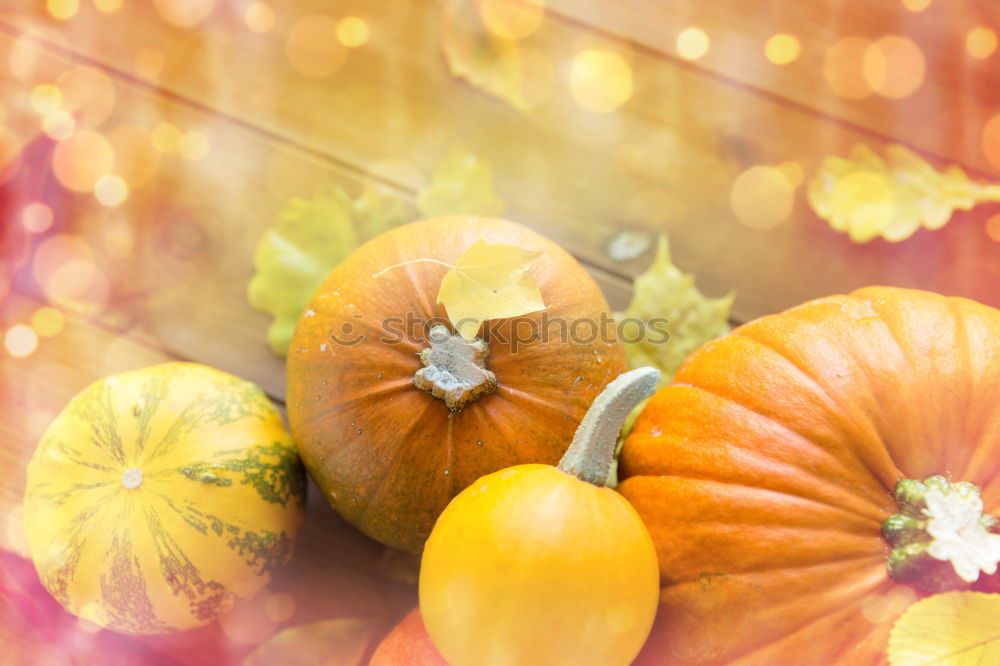 Similar – Image, Stock Photo Pumpkin season Food