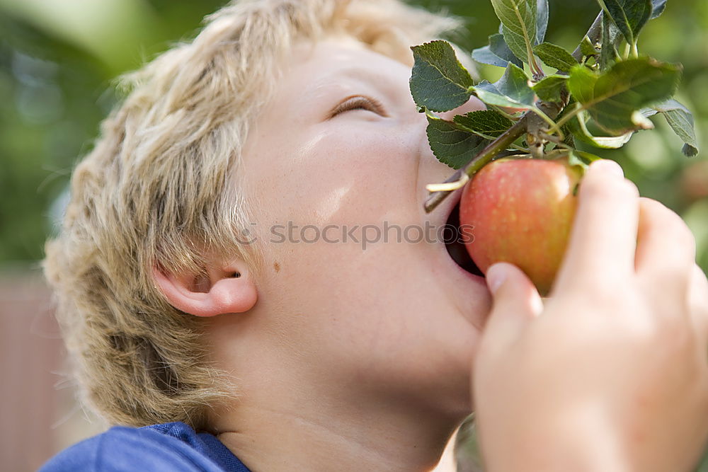 Similar – Image, Stock Photo Closeup of children putting fresh organic apples inside of wicker basket with fruit harvest