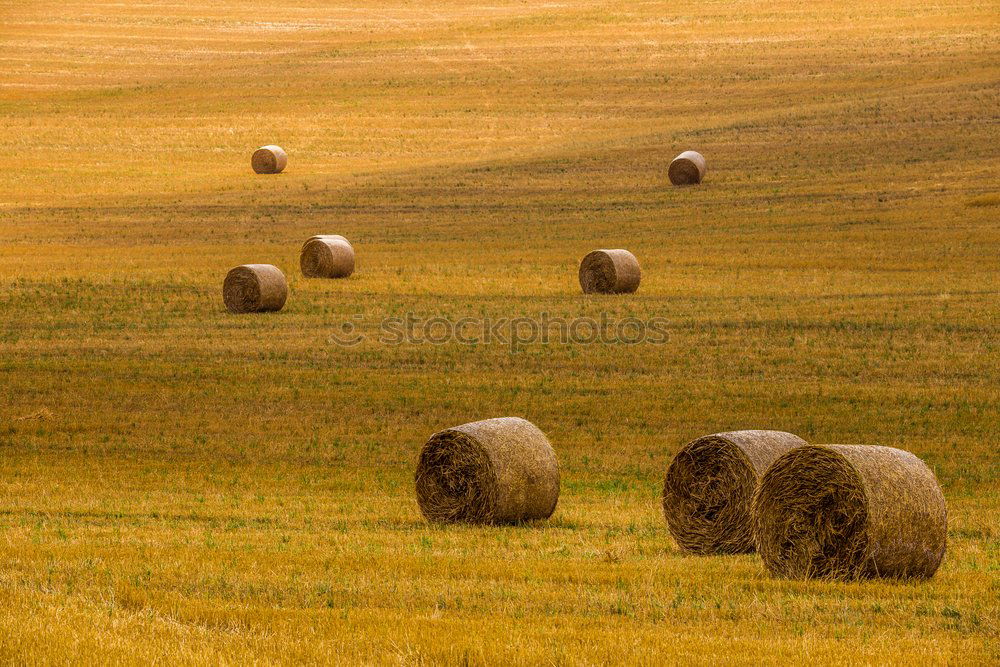 Similar – Image, Stock Photo lost Man Field Canola