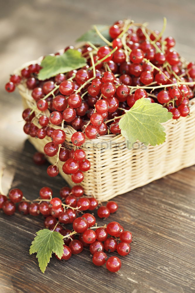 Similar – Image, Stock Photo Red cherry in a paper bag