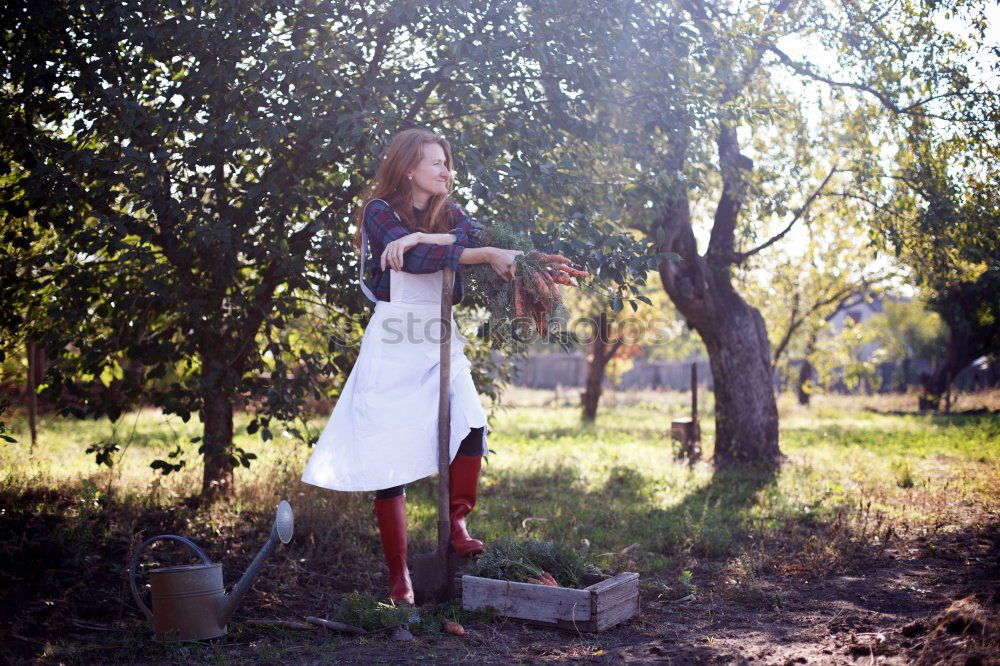 Similar – kid girl feeding calf on cow farm.