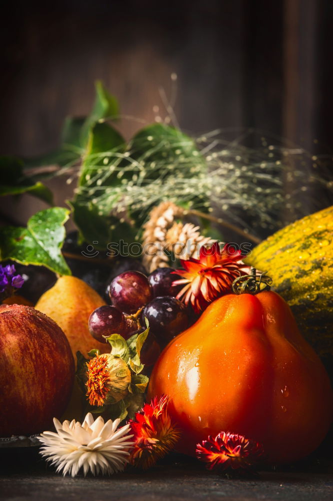 Similar – Colourful pumpkins with flowers, stems and leaves on slate