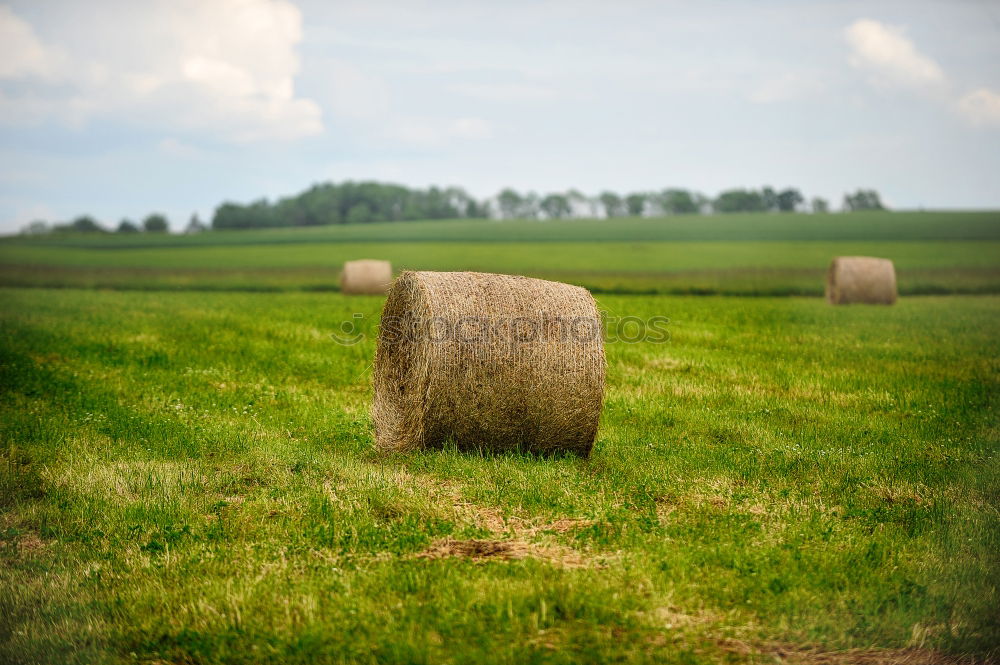 Similar – hay bales Straw Field