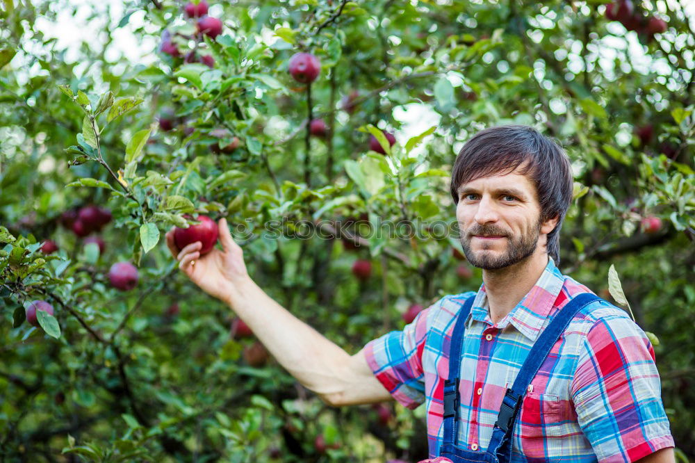 Similar – Young man harvesting apples