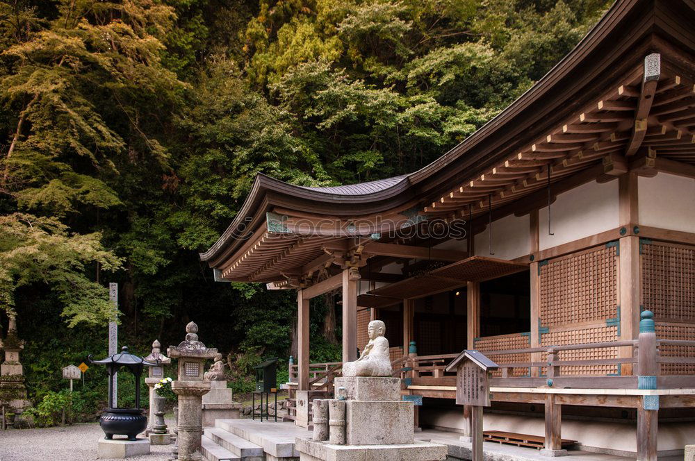 Traditional Asian building in forest