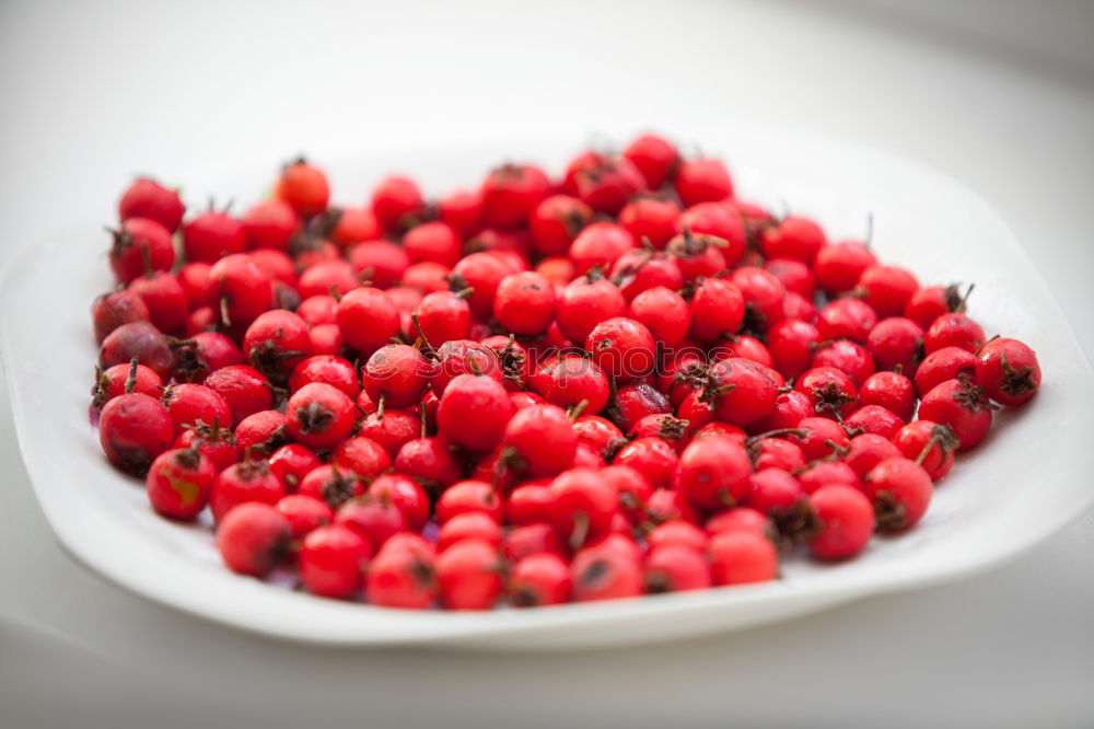 Similar – Glass bowl with red currants and vanilla sauce