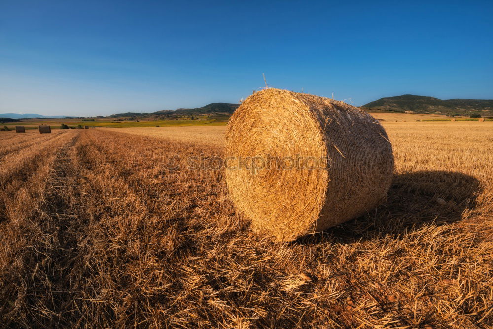 Similar – Image, Stock Photo Soon done! Grain harvest