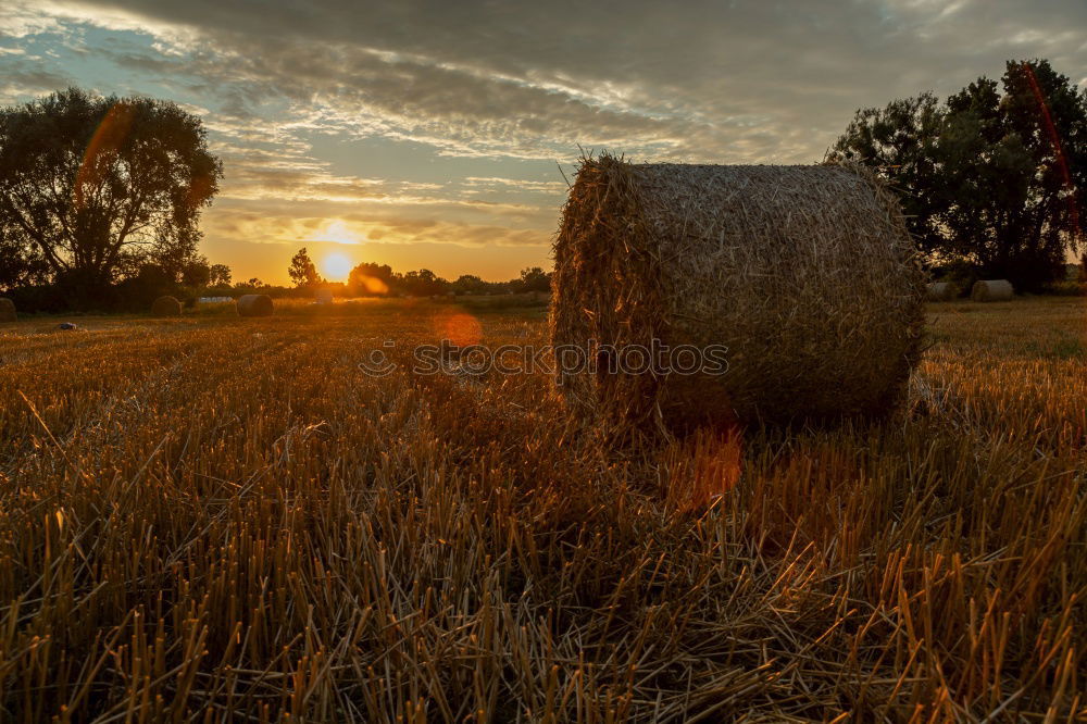 Similar – HATE IS THE HARVEST Wolken