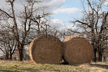 Similar – Image, Stock Photo Bales of straw in the field Trailers are loaded. The field is harvested.  It is autumn