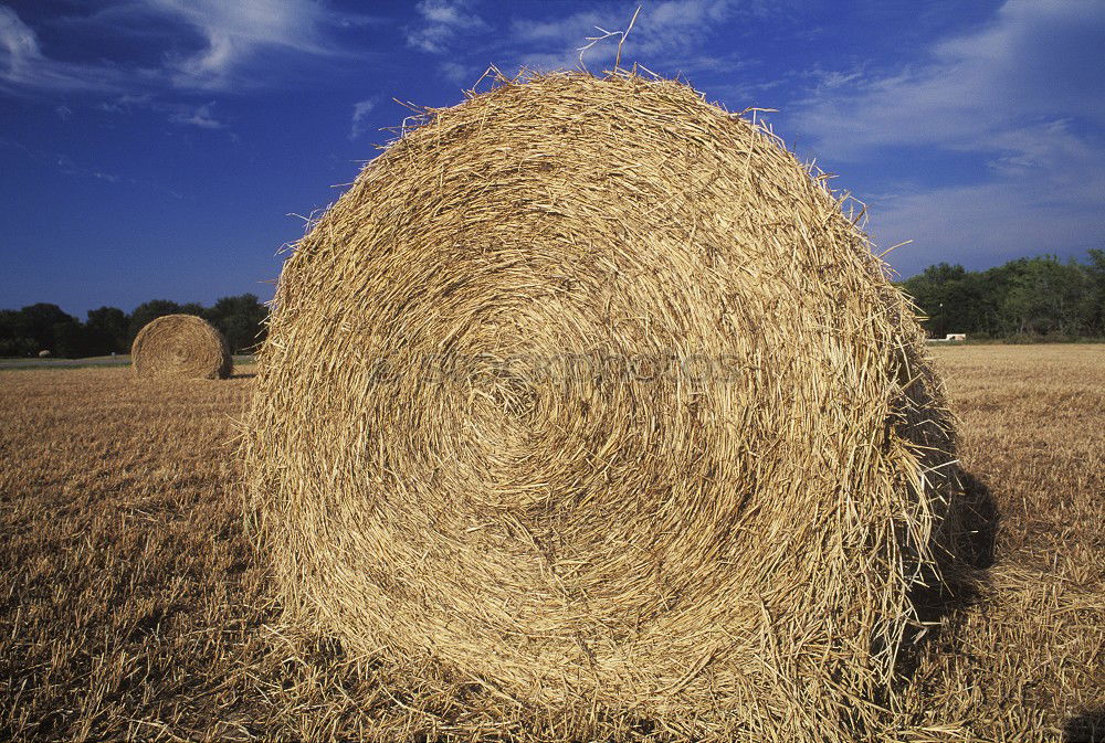 Similar – Bale of Straw Hay