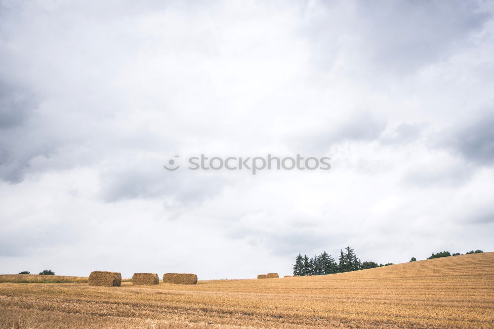 Similar – Foto Bild Vorbeifahr’n Natur