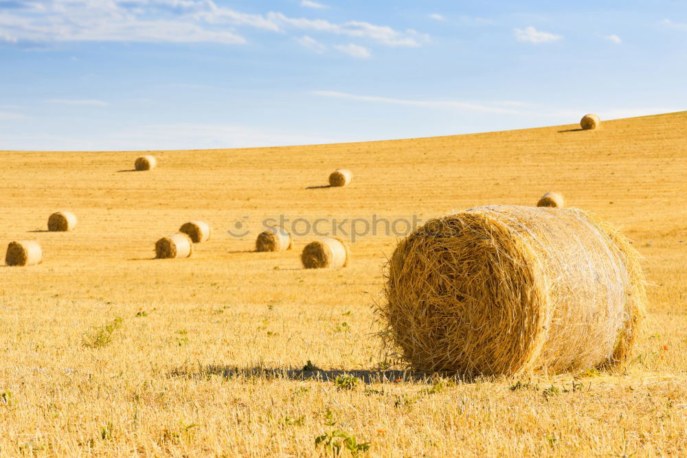 Similar – hay bales Straw