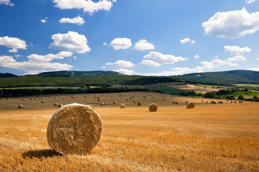 Similar – Landschaftsmaler Feld