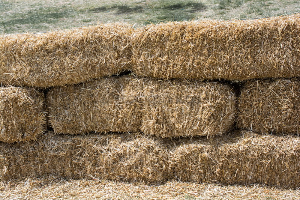 Similar – straw hut Straw