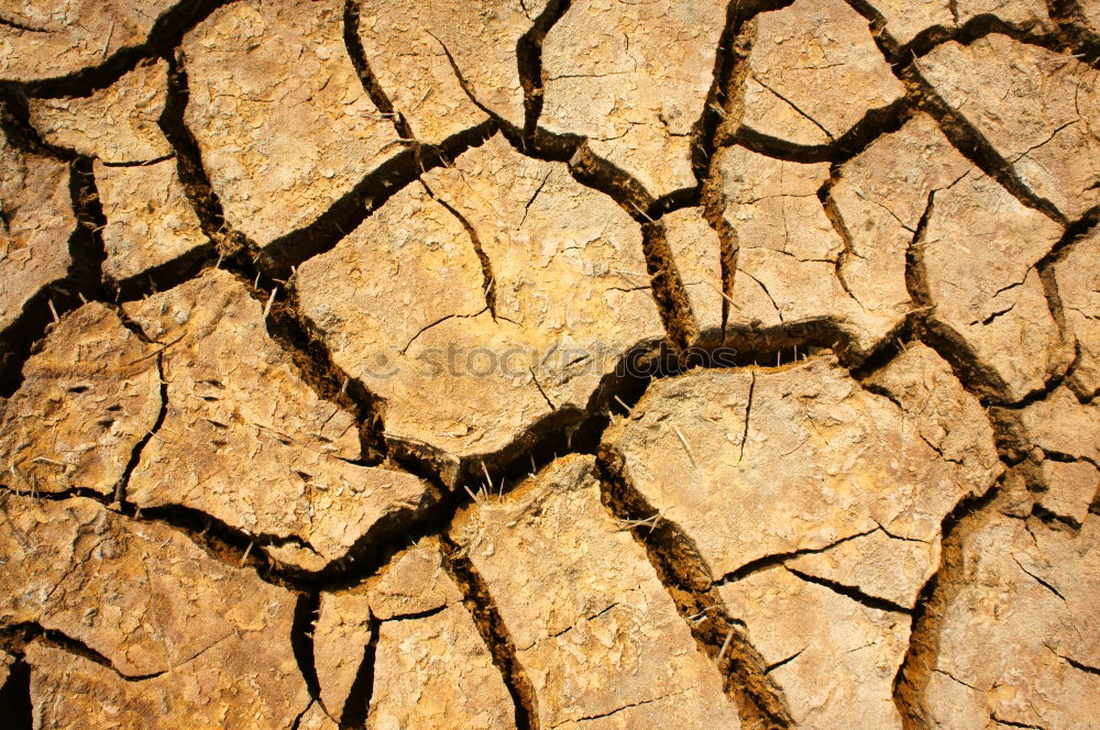 Similar – Image, Stock Photo Mini Grand Canyon Dry