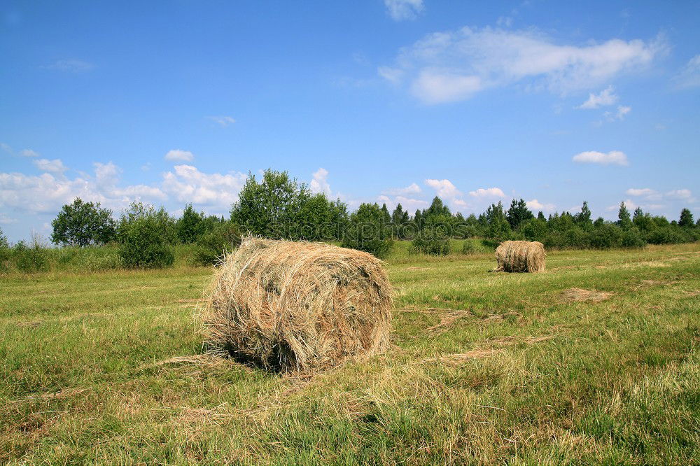 Similar – Image, Stock Photo harvest time Field Straw