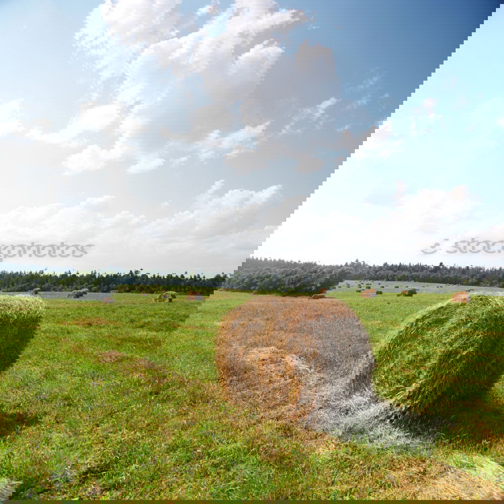 Similar – Image, Stock Photo Enjoying quiet days in DK.