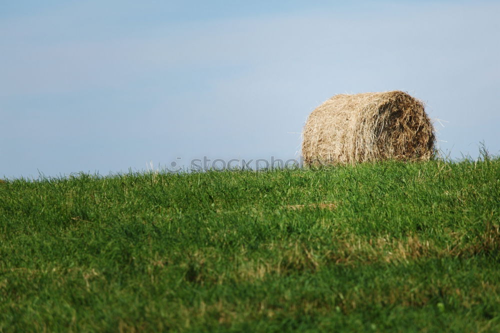 Similar – Bale of Straw Hay