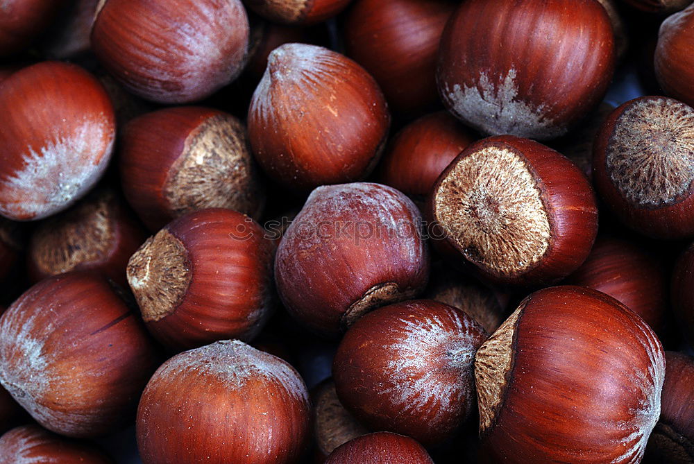 Similar – fresh tropical rambutan fruits over rustic wood table