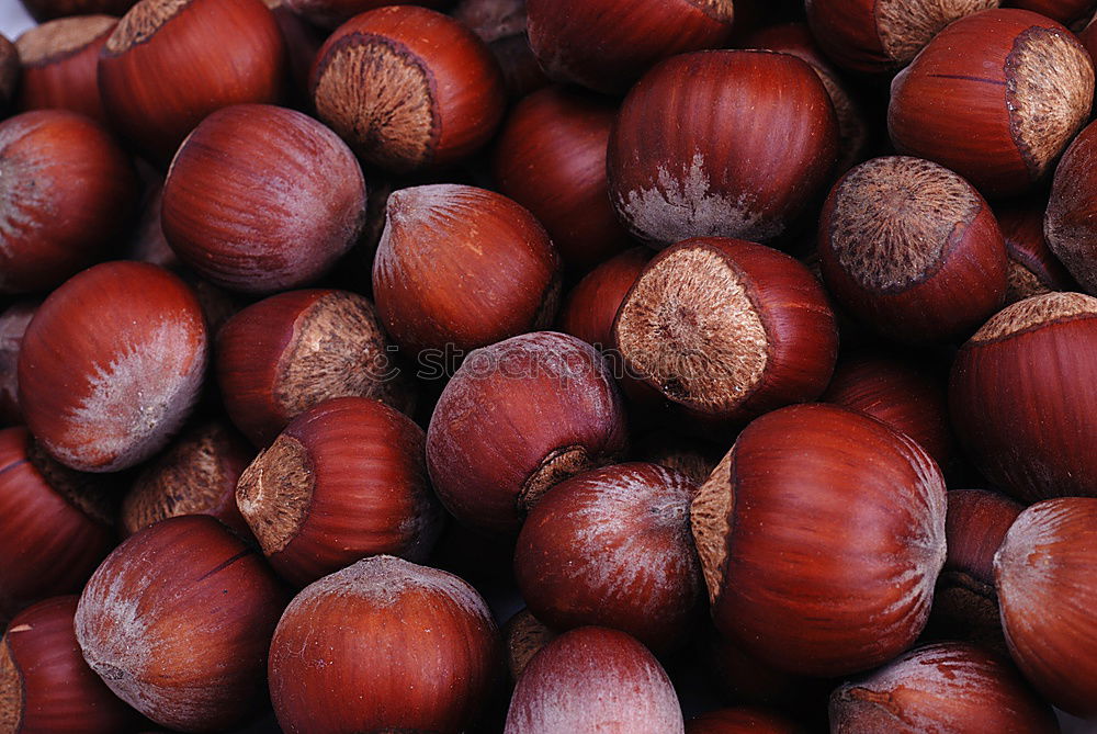 Similar – fresh tropical rambutan fruits over rustic wood table