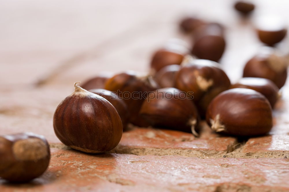 Similar – Image, Stock Photo Hazelnuts on a wooden table in a row