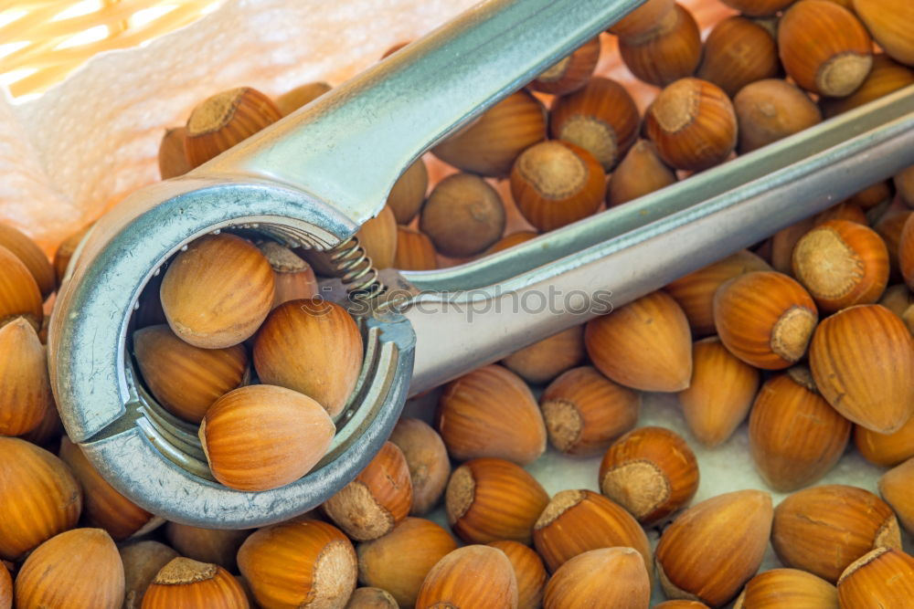 Similar – Image, Stock Photo Fresh walnuts with a nutcracker