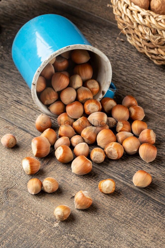 Similar – Image, Stock Photo hazelnut nuts in a brown wooden bowl