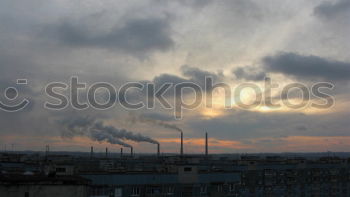 Similar – Image, Stock Photo Wet and green