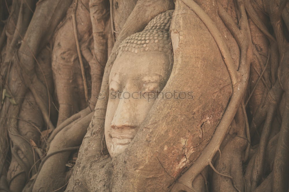 Similar – Image, Stock Photo Buddhist statues in a temple in Vietnam