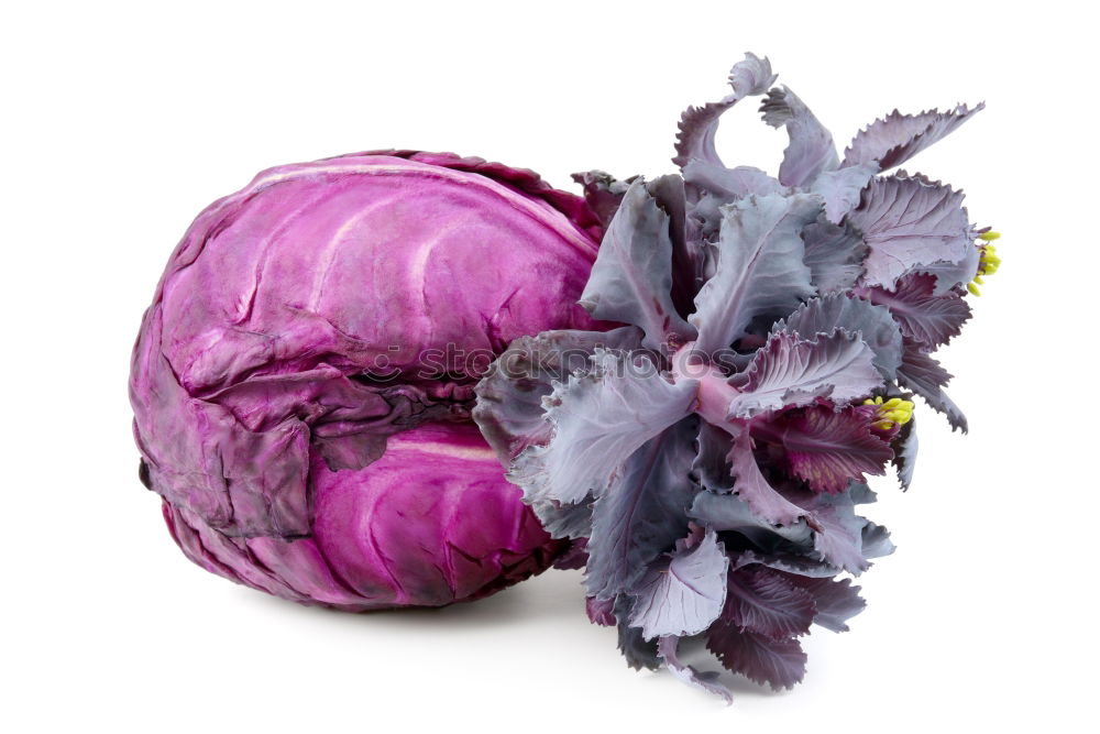 Similar – Image, Stock Photo Roman Artichokes on a wooden board with knife