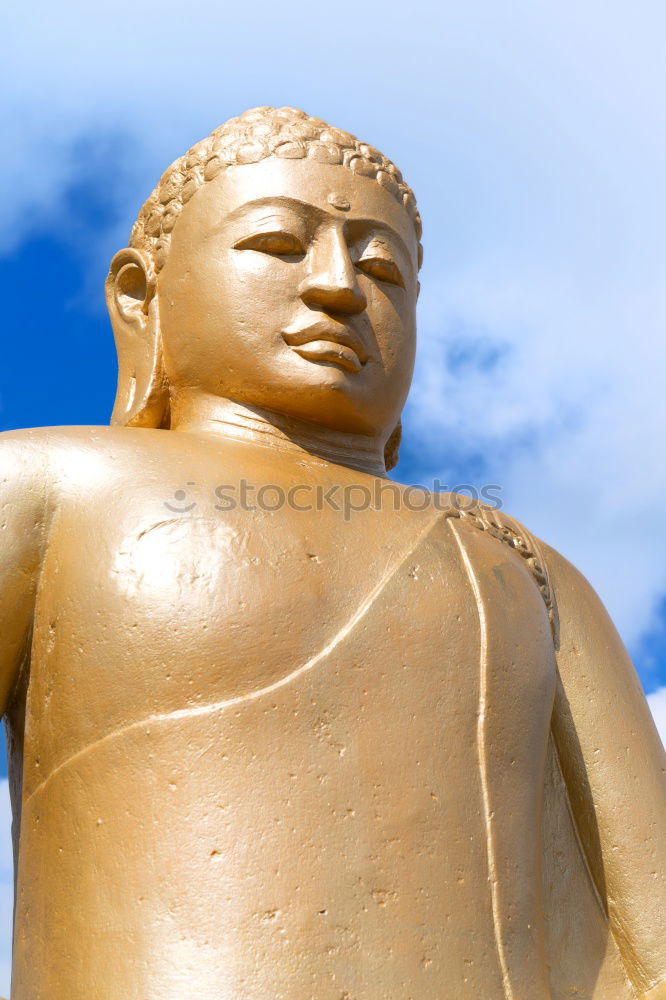 Similar – Image, Stock Photo Buddha Safari Body 1