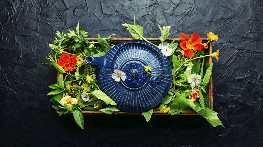 Similar – Image, Stock Photo Aromatic herbs and spices with spoon around the plate