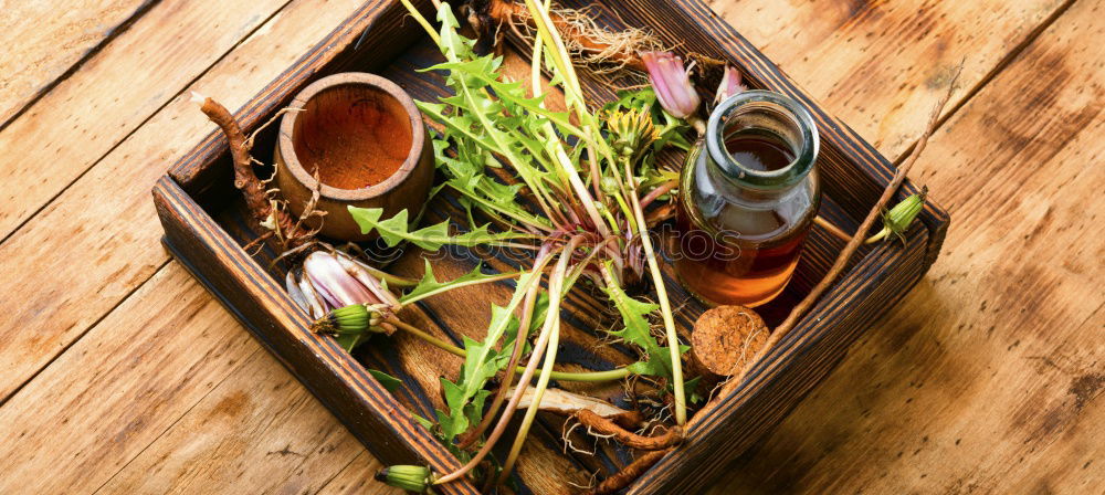 Similar – Image, Stock Photo Set of roots of medicinal plants