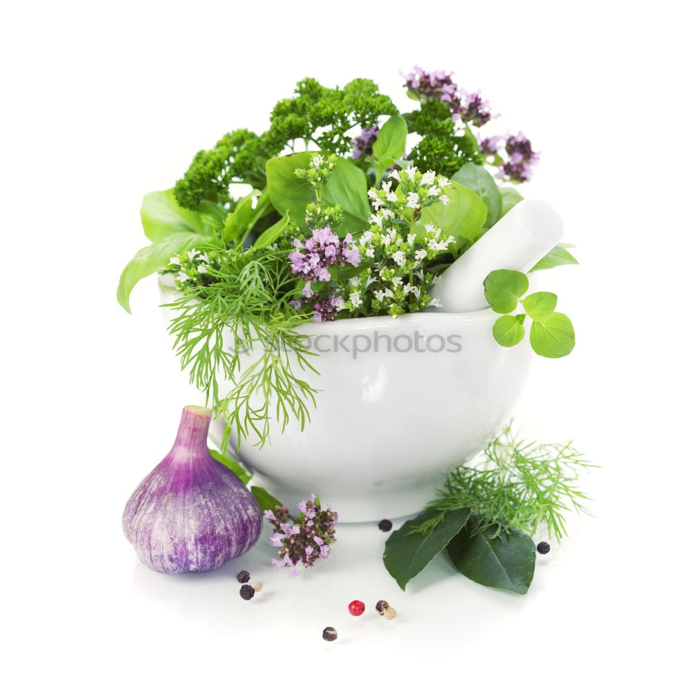 Similar – Spring flowers hyacinth with onions, tubers and shovel