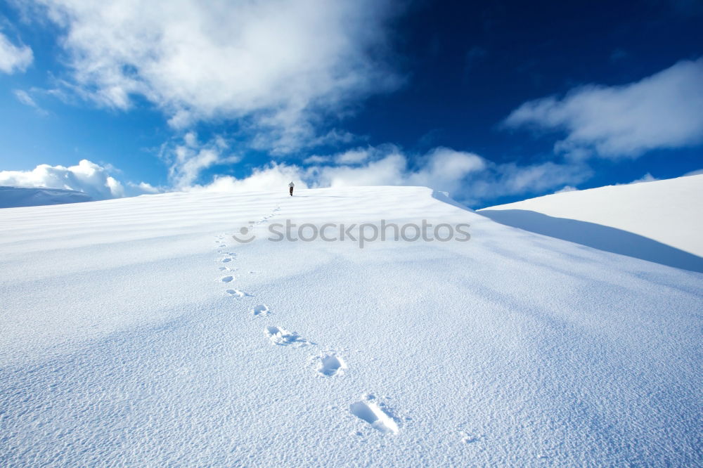 Similar – Image, Stock Photo Tracks in the snow