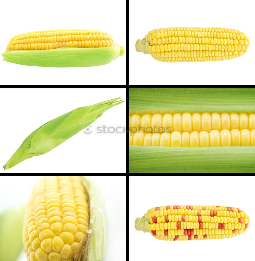 Similar – Image, Stock Photo I’m corny Yellow Popcorn