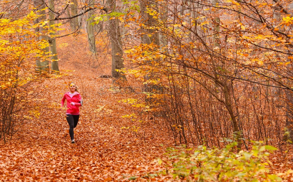 Similar – Image, Stock Photo Pretty fit young woman jogging in woodland