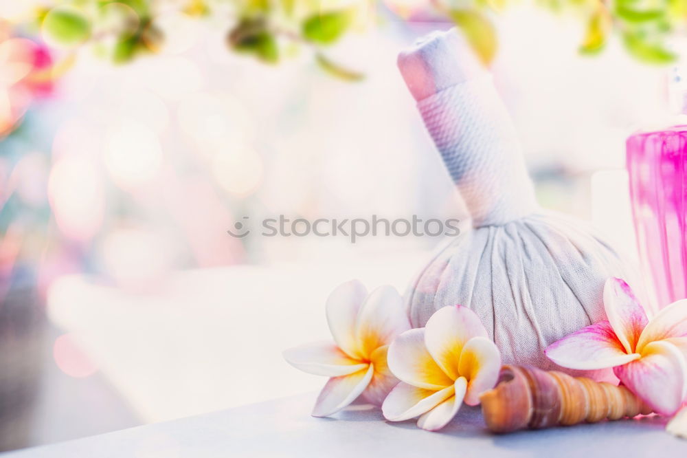 Similar – Image, Stock Photo Tropical Frangipani Flowers with Massage Herbal Stamps