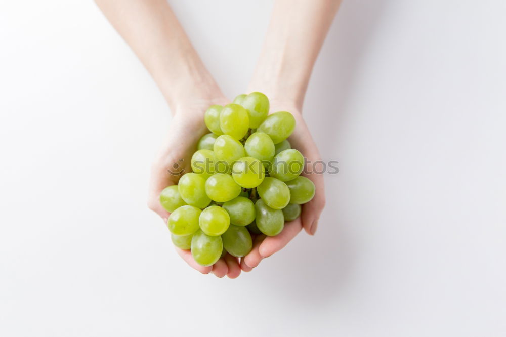 Woman’s hand holding ripe green grape