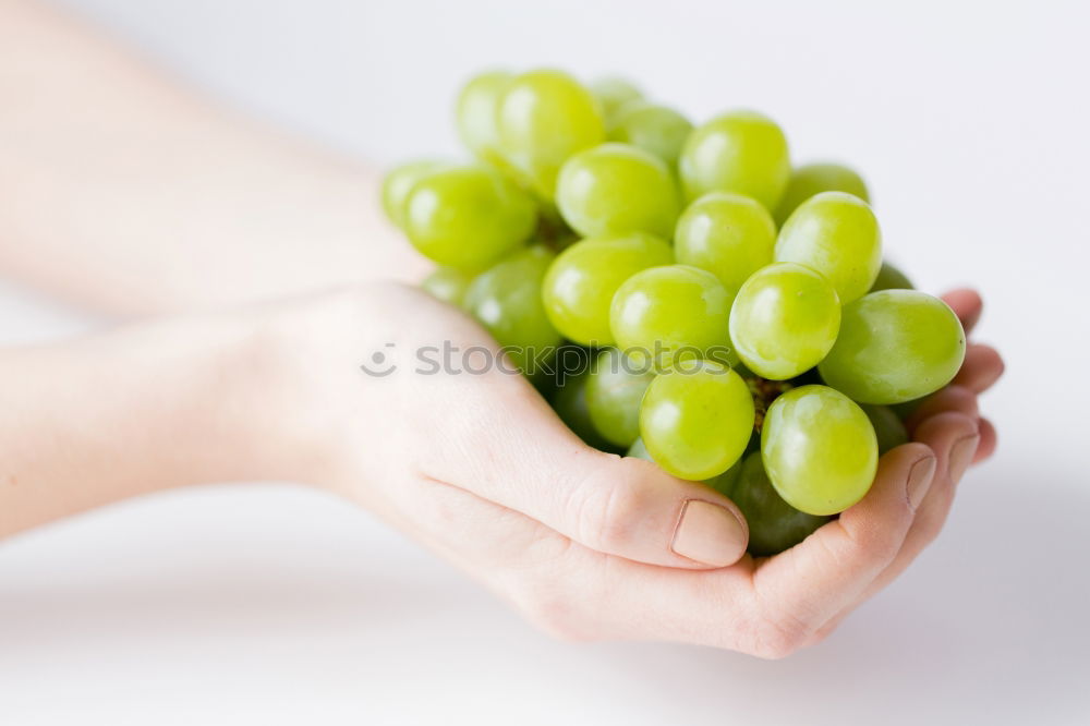 Similar – Woman’s hand holding ripe green grape