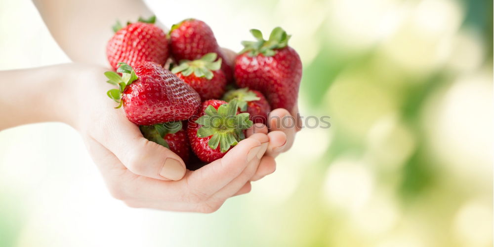 Similar – Image, Stock Photo freshly dished up Food