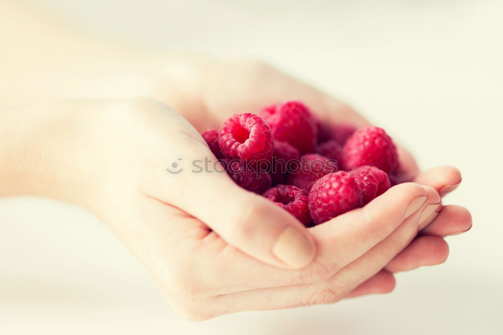 Similar – Old woman’s hands holding blackberries