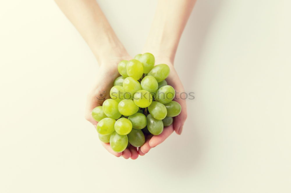 Similar – Woman’s hand holding ripe green grape