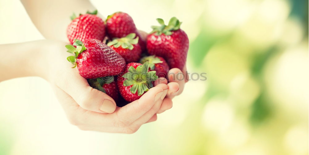 Image, Stock Photo Freshly harvested III Food