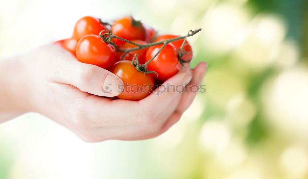 Similar – Image, Stock Photo one apple a day Food Fruit