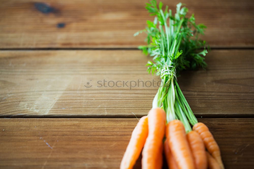 Similar – Two large ripe carrots lie in female hands