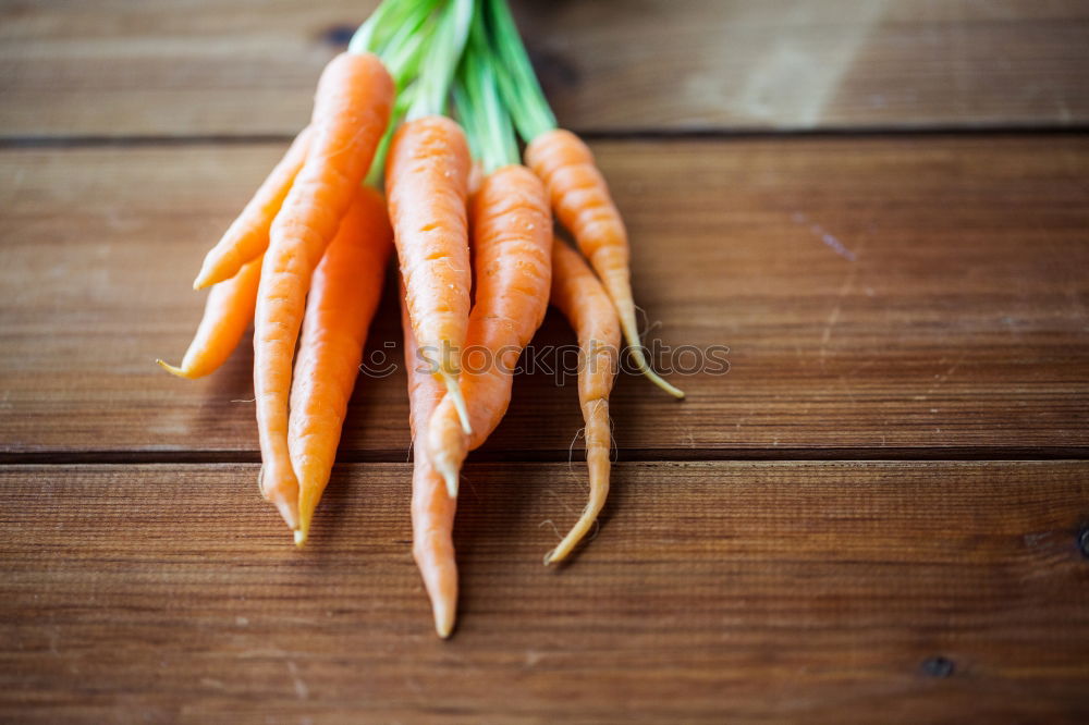 Similar – Fresh carrots tied with a rope