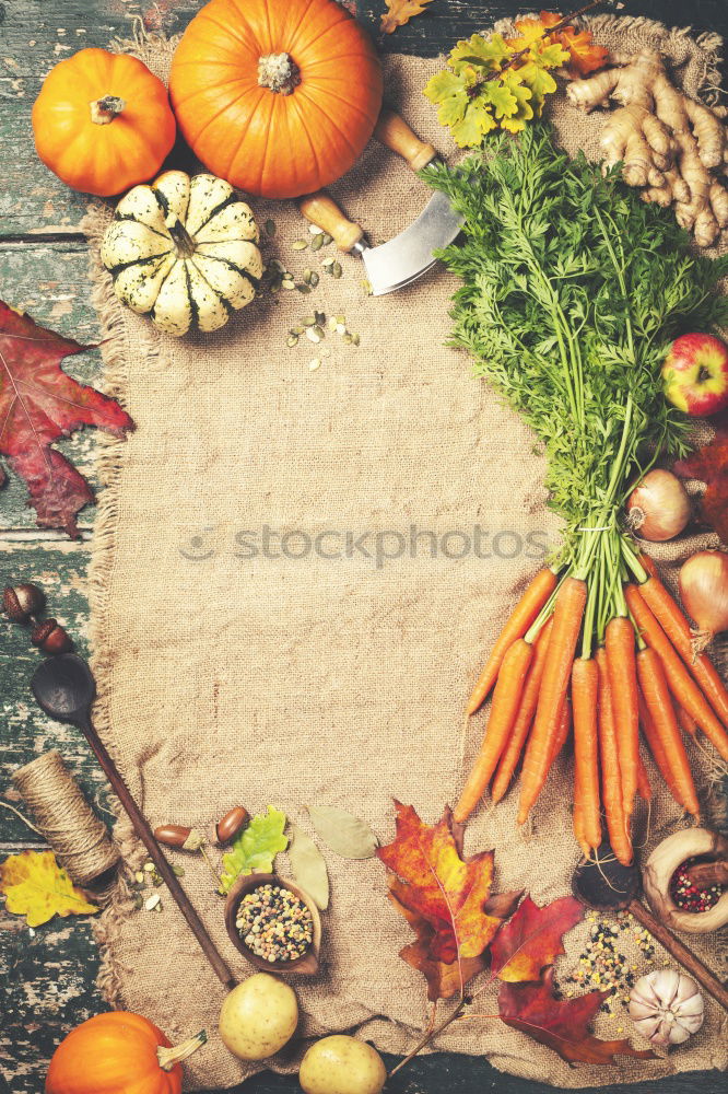 Similar – Image, Stock Photo Autumn apples and pumpkins